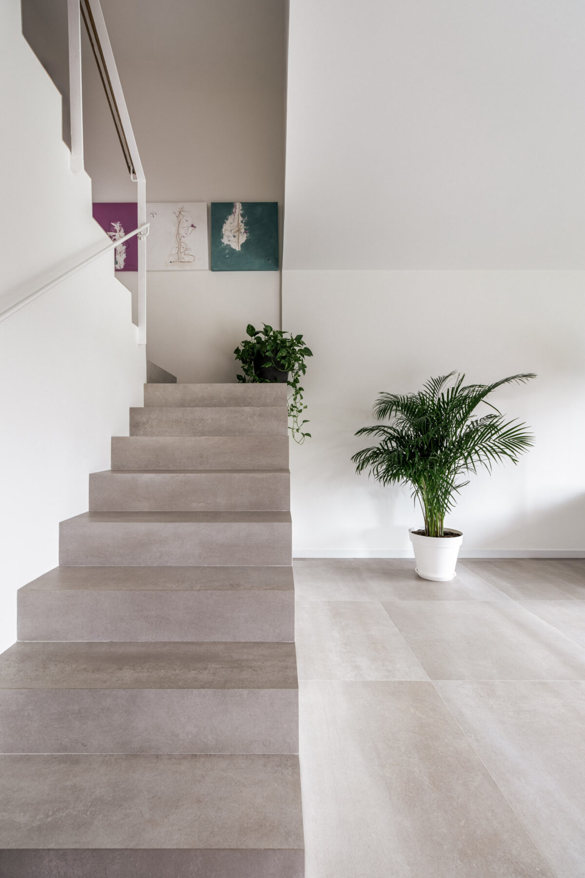 Casa D+A